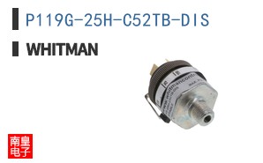 P119G-25H-C52TB-DIS ͼƬ